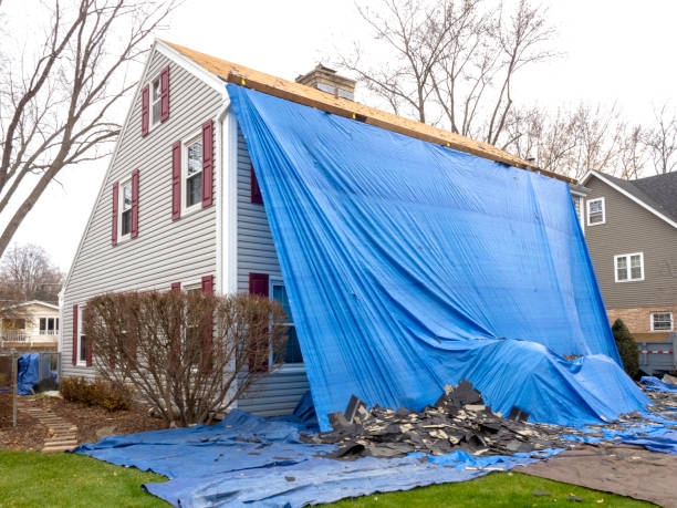 Best Insulated Siding Installation  in Stem, NC